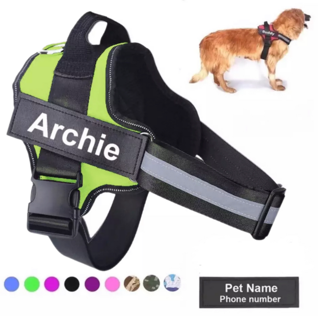 Personalised No-Pull Dog Harness with Reflective Strip