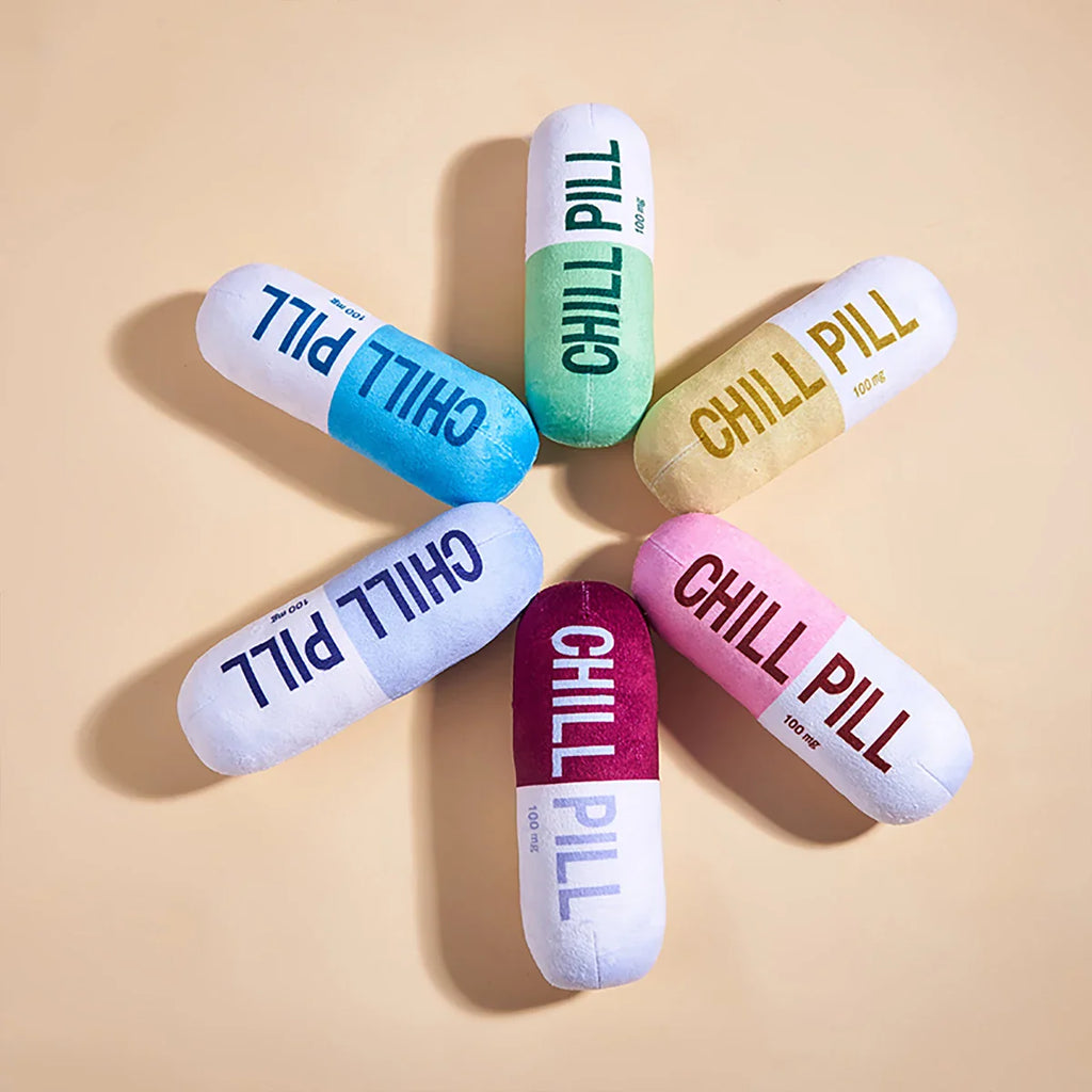 Interactive Plush “Chill Pill” Dog Toy with Squeaker – Soft Bite-Resistant Chew Toy for Pets