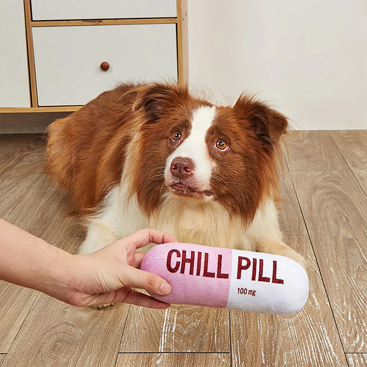 Interactive Plush “Chill Pill” Dog Toy with Squeaker – Soft Bite-Resistant Chew Toy for Pets