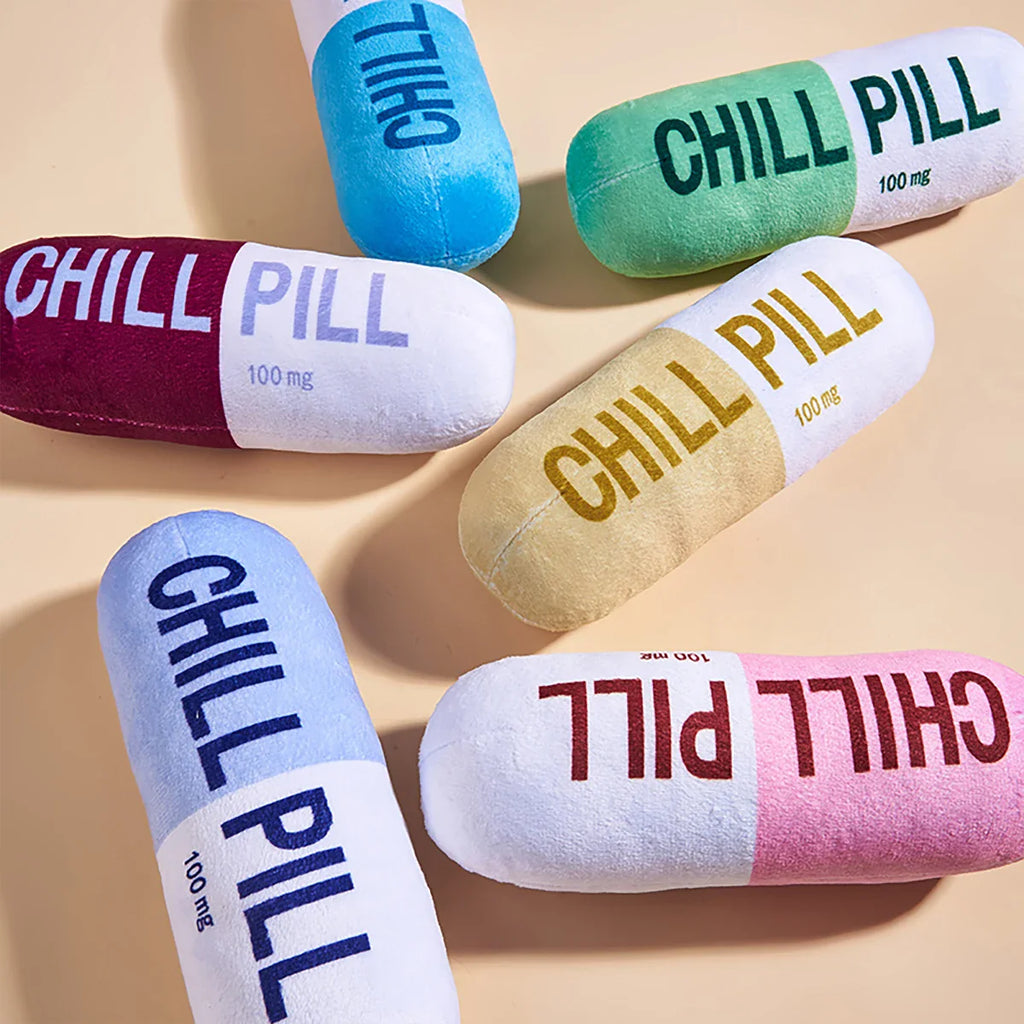 Interactive Plush “Chill Pill” Dog Toy with Squeaker – Soft Bite-Resistant Chew Toy for Pets