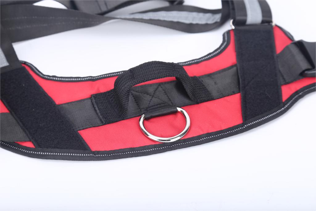 Personalised No-Pull Dog Harness with Reflective Strip