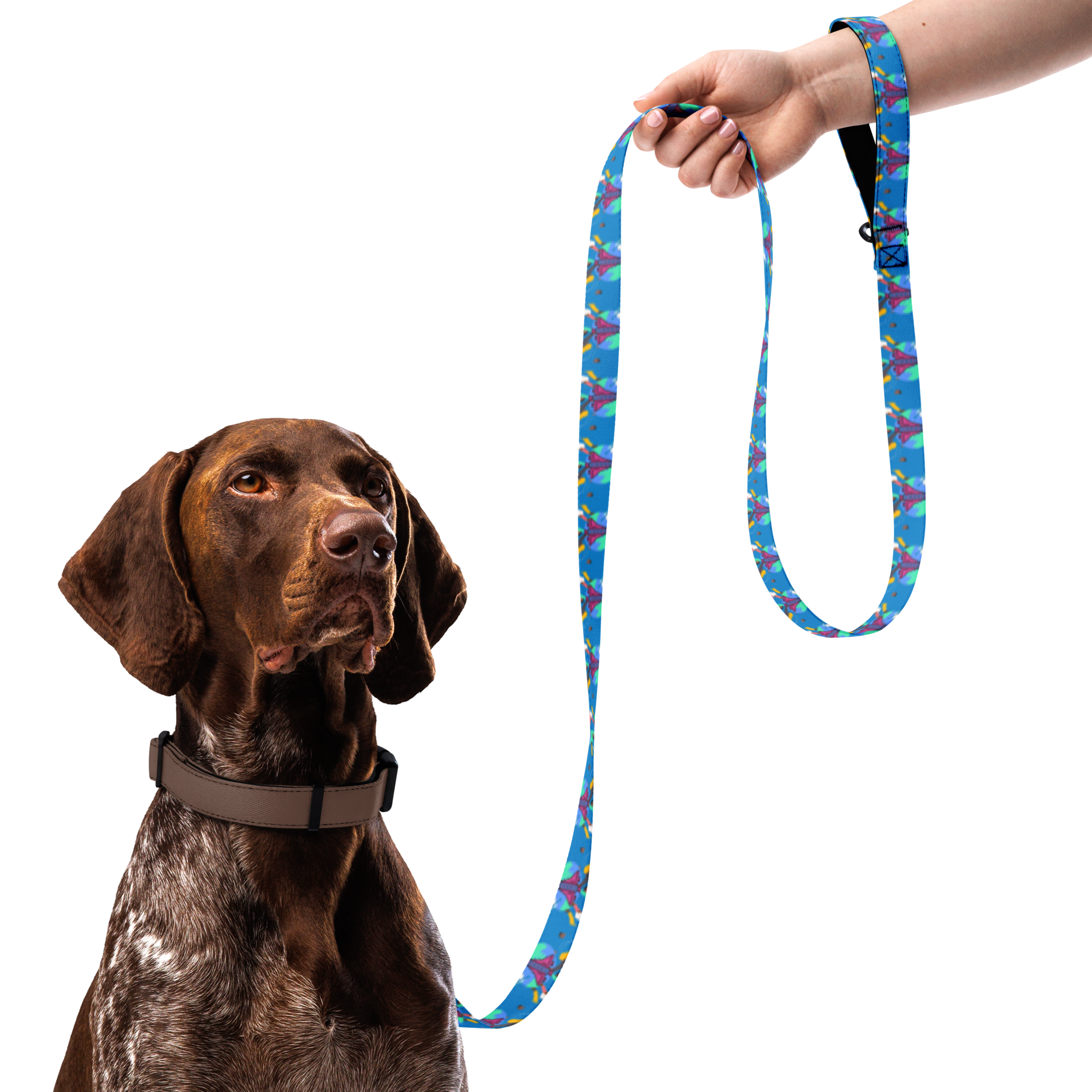 First Home Pet leash