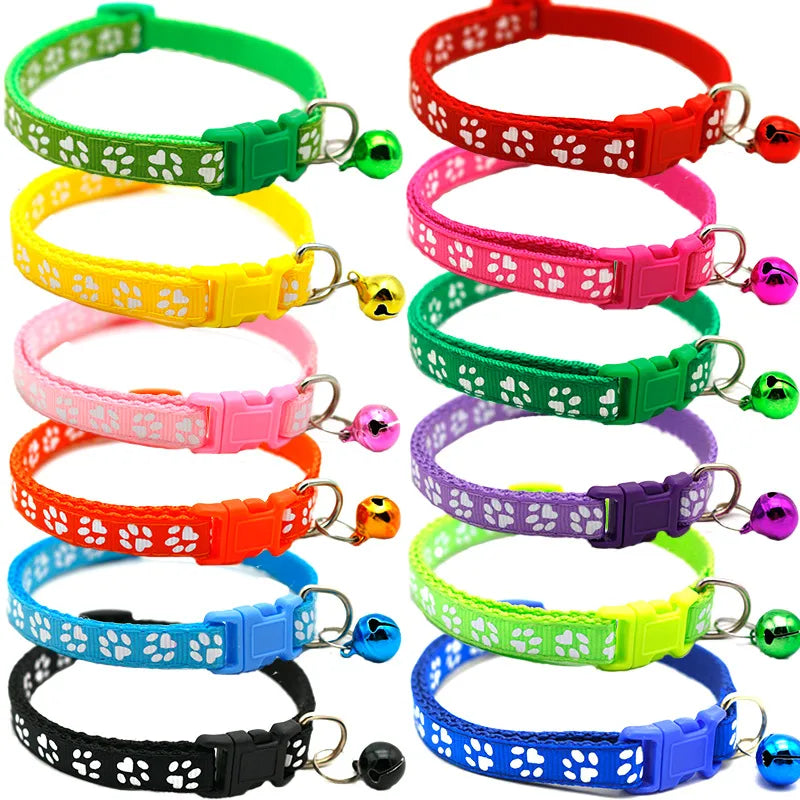 Casual PP PVC Solid Color Pet Collar