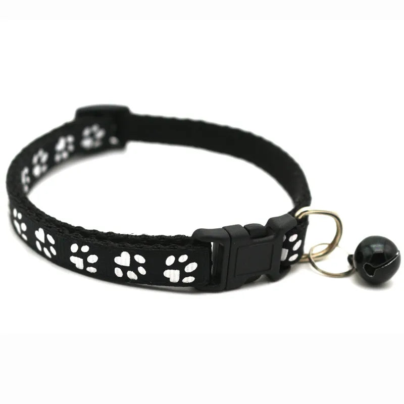 Casual PP PVC Solid Color Pet Collar
