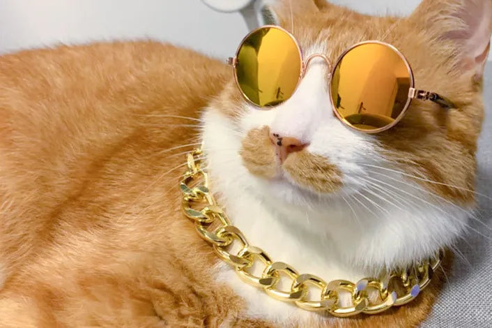 factory direct sales dog cat pet glasses creative trend toy sunglasses