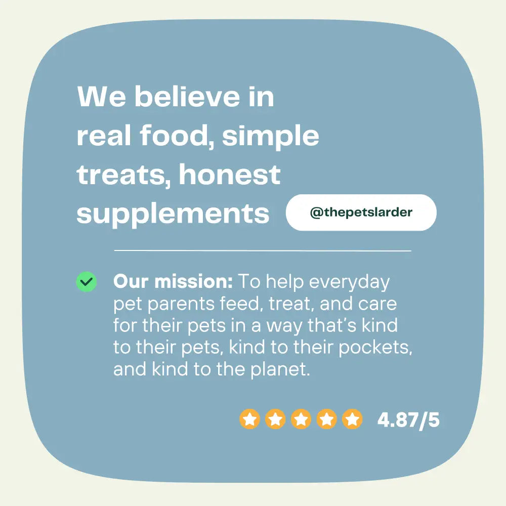 Pork Crackling Stick Natural Meat Chew For Dogs