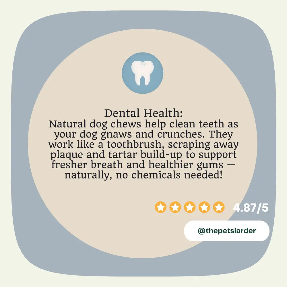 Pork Crackling Stick Natural Meat Chew For Dogs